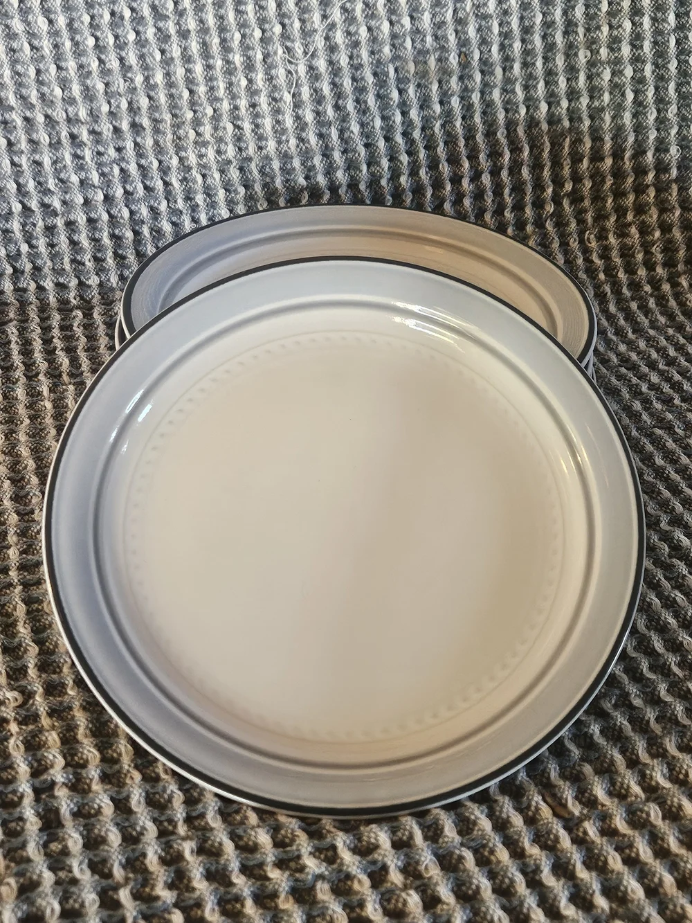 Set of 6 White Dinner Plates with Gray Rim